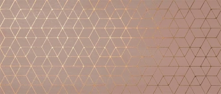 Декор Mek Rose Hexagon 50x120